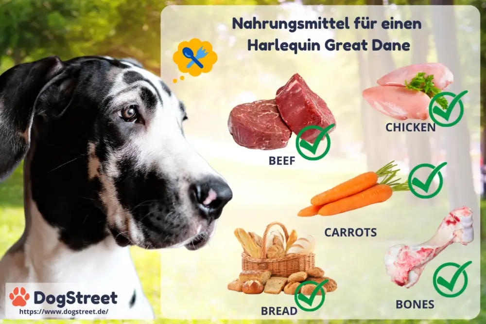 how much are harlequin great danes
